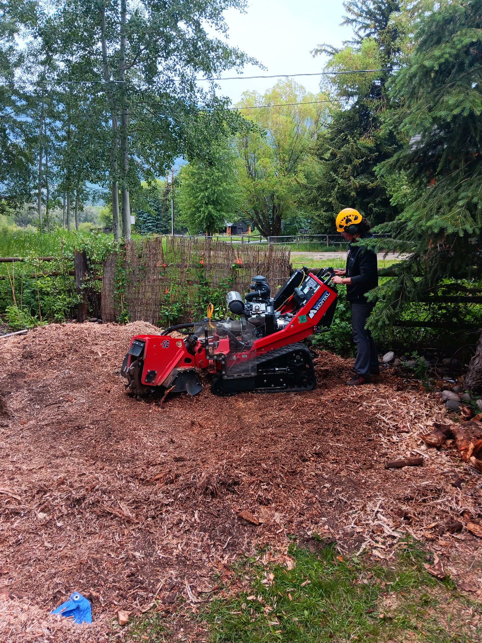 Certified arborist stump grinding in Alpine, WY
